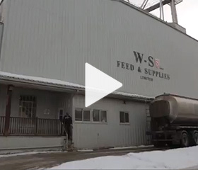 W-S Feed & Supplies Serving Southwestern Ontario